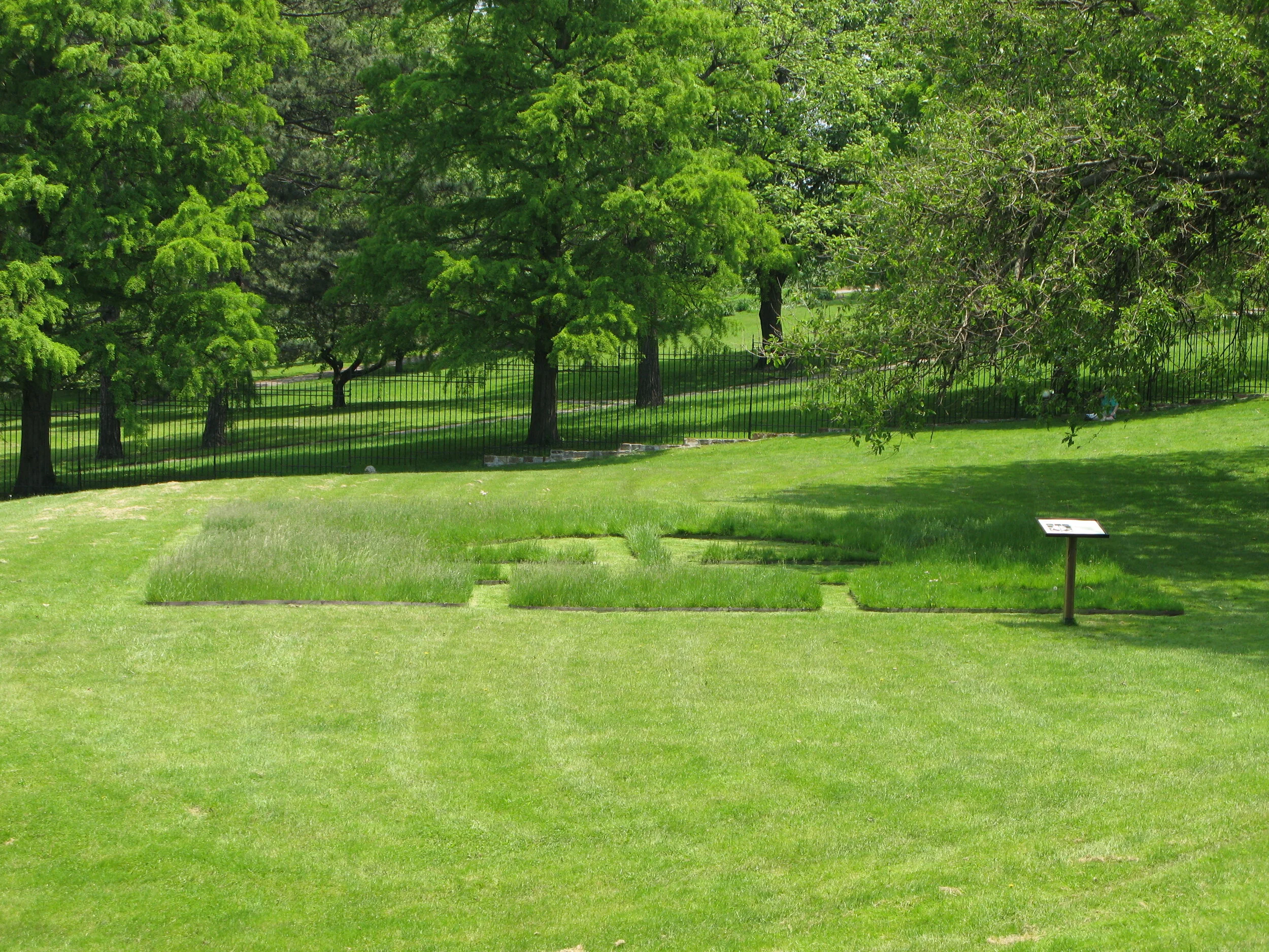 Garden May 26 full view.JPG