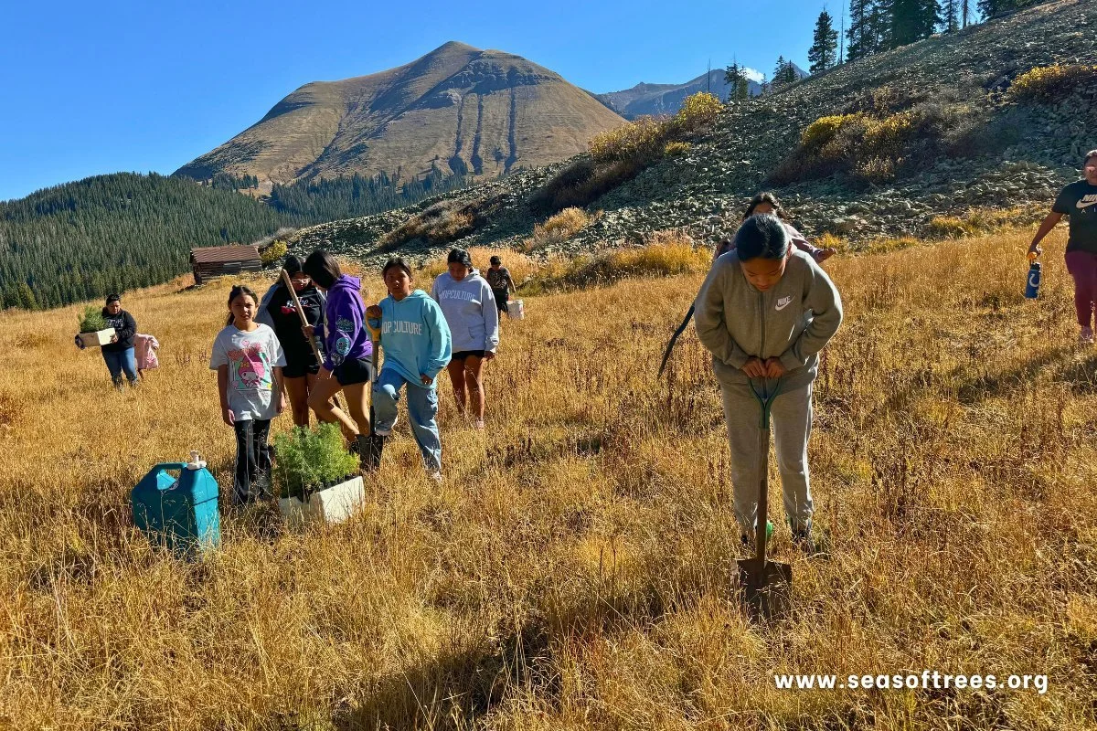 Reparation, Recreation & Reciprocity 2024