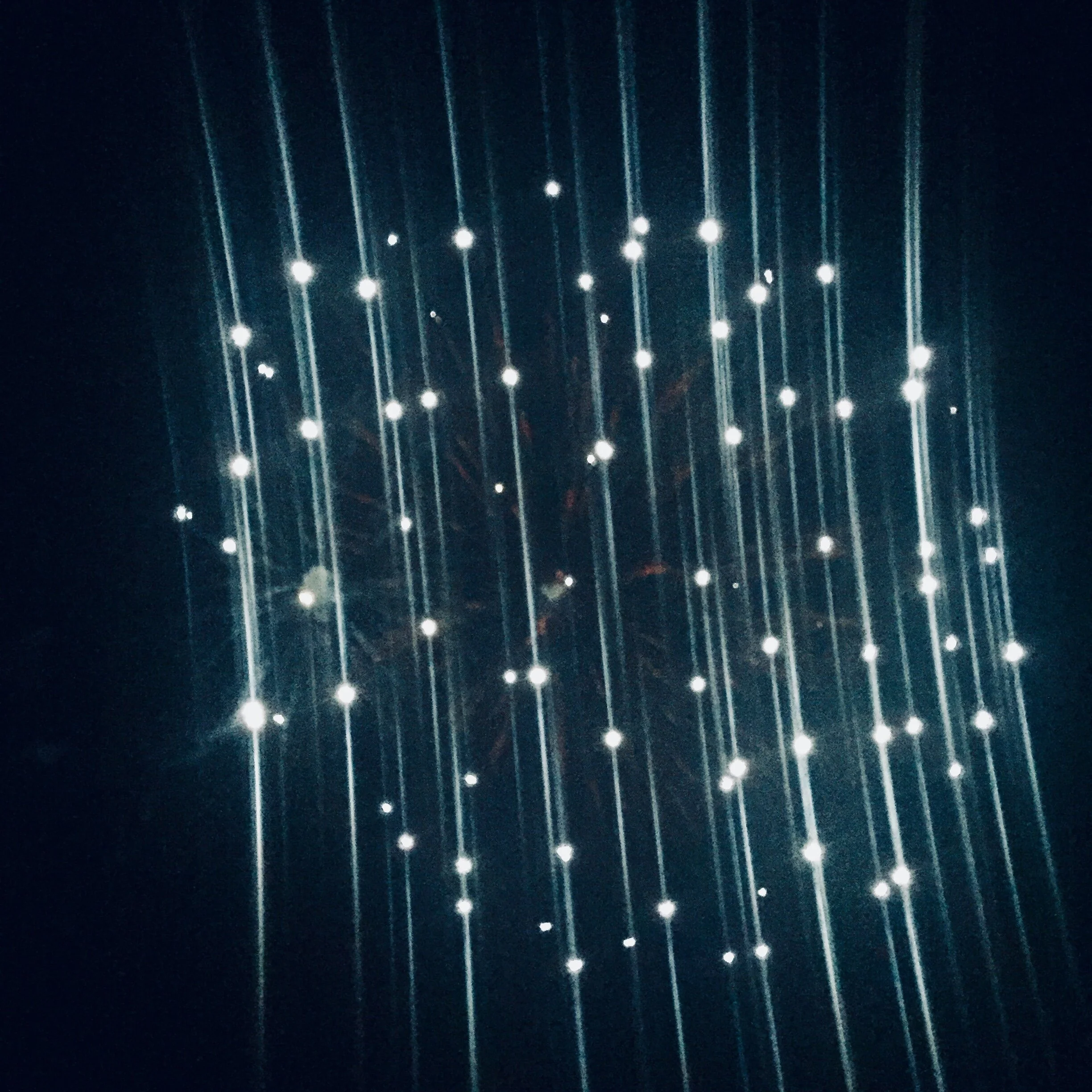 Fireworks, Photo credit: Archana Sridhar