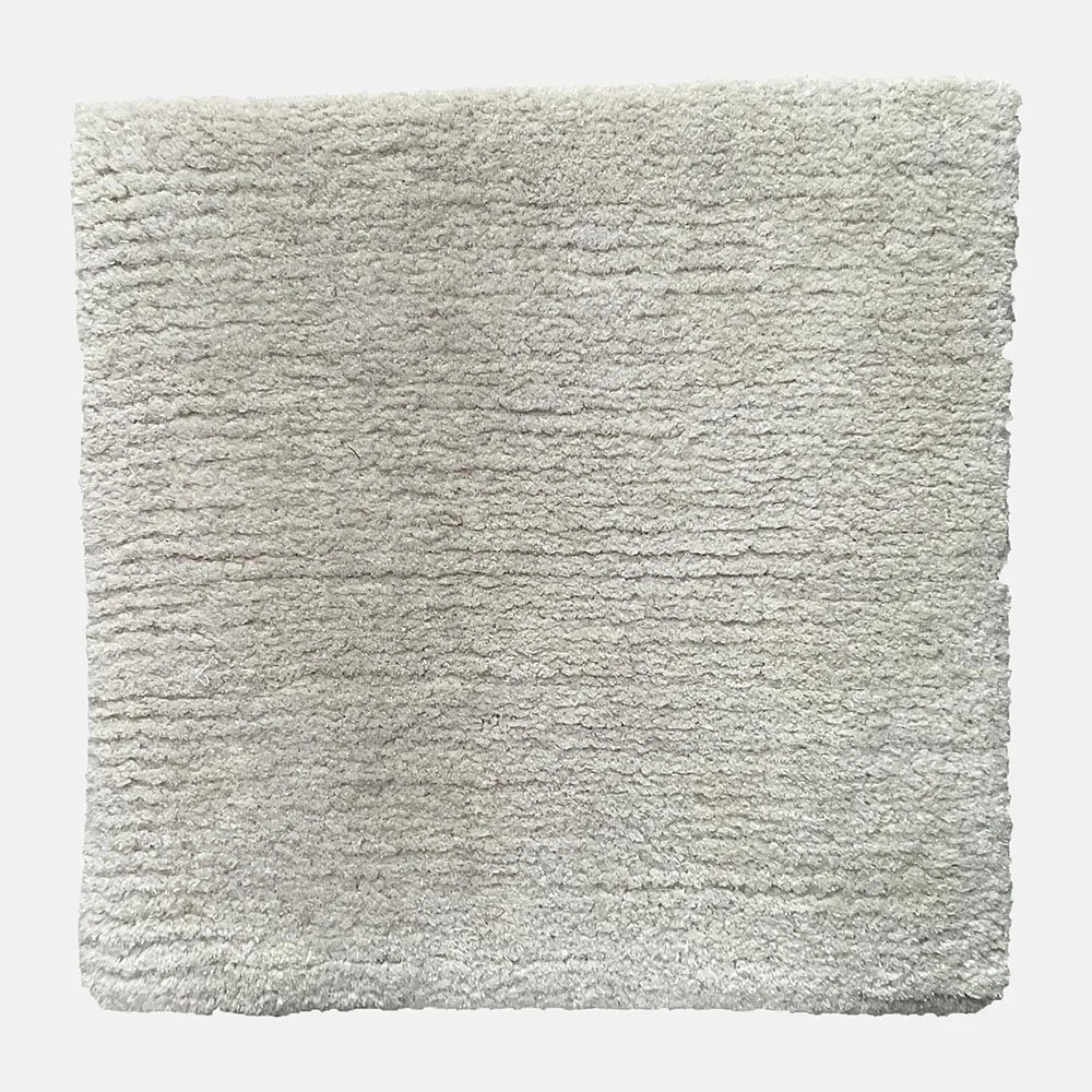 AGILU-15221-OYSTER MUSHROOM