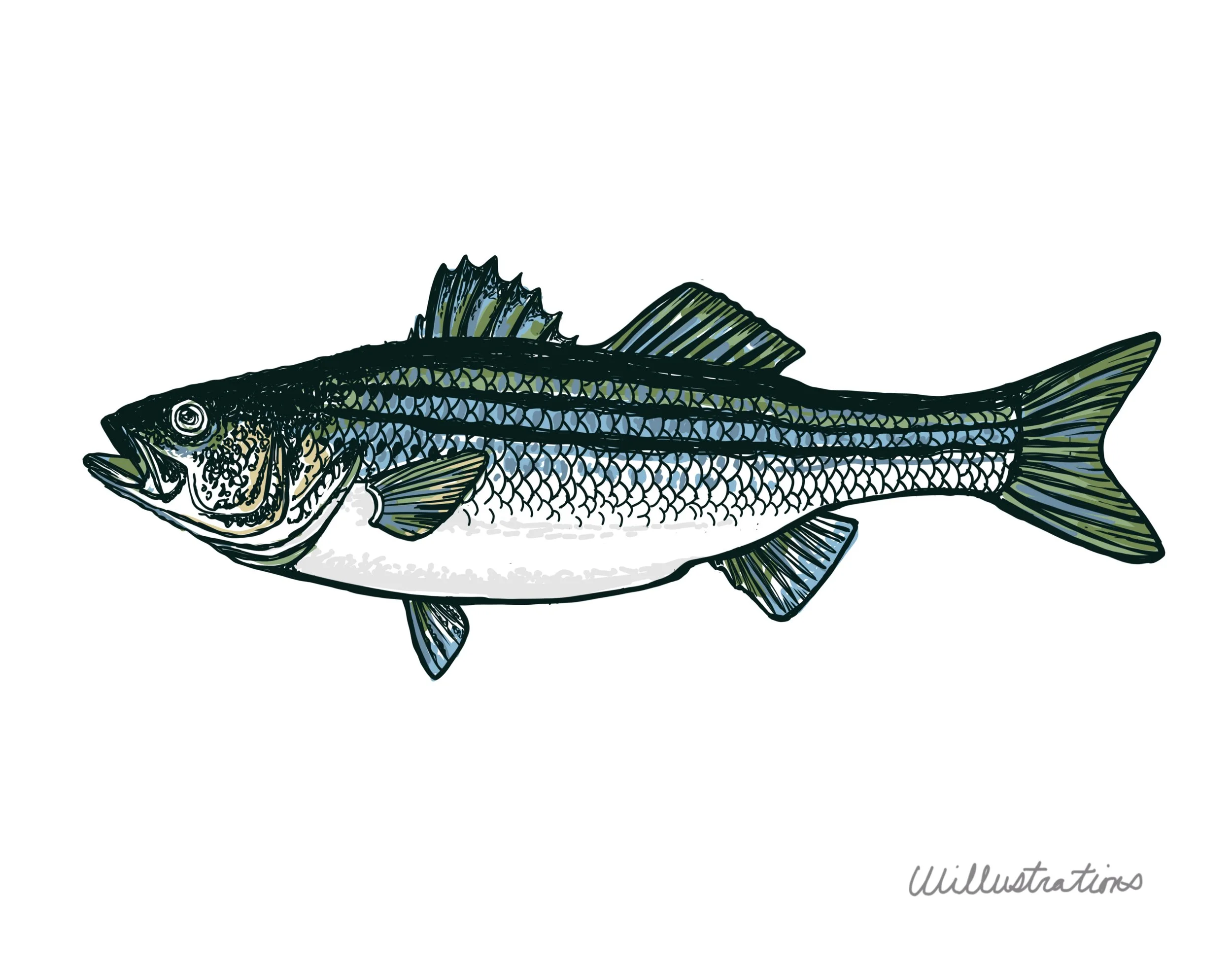 Untitled_Artwork 343.JPG