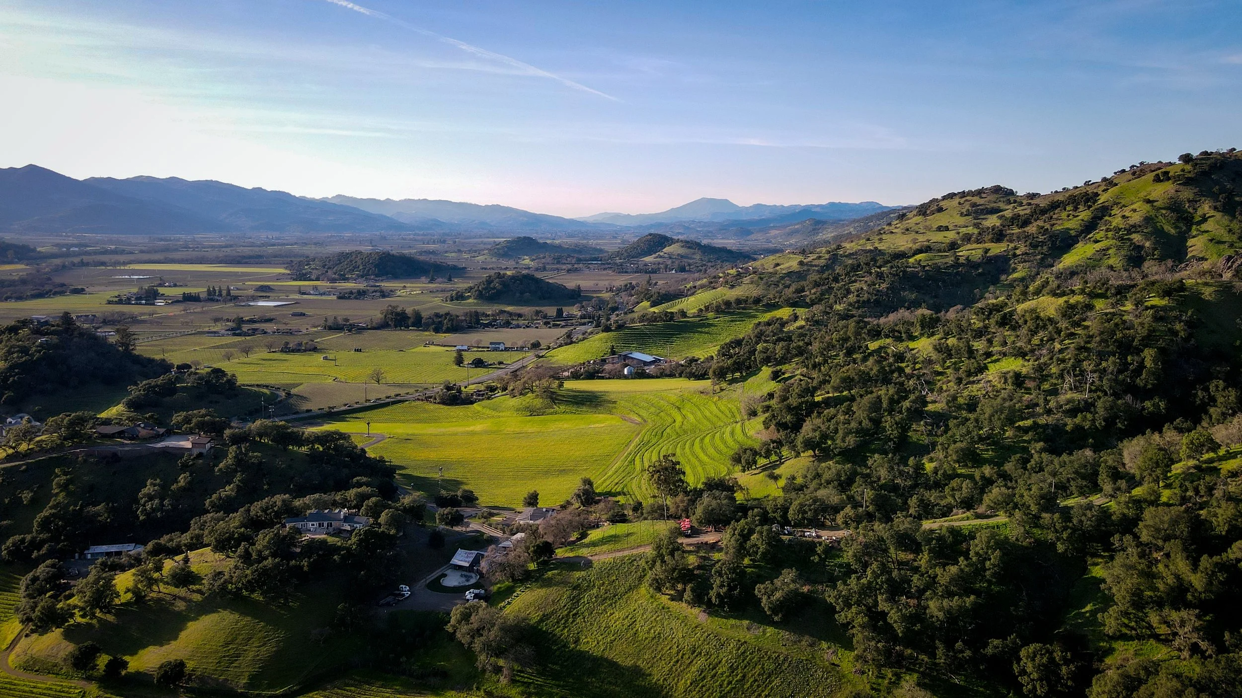 Organic, Sustainable &amp; Regenerative Wine: What Does It Actually Mean?