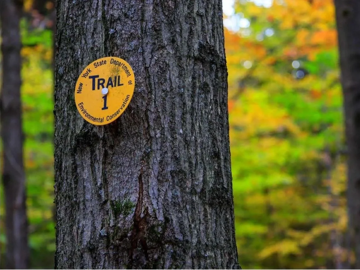 Tree trunk with a trail marker sticker from the New York State Department of Environmental Conservation, yellow with black text, indicating Trail 1 in a forest with autumn foliage.