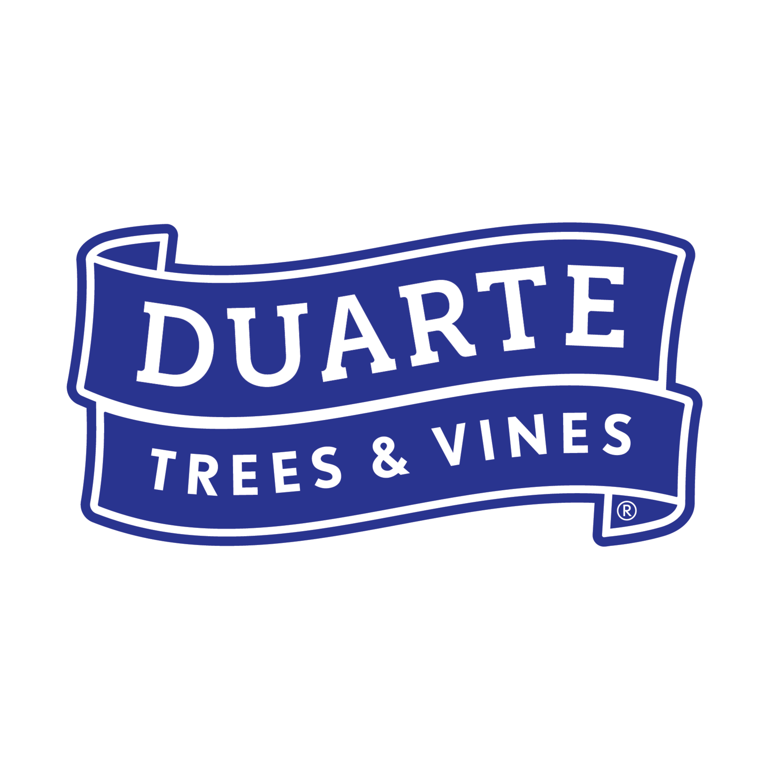 Duarte .png
