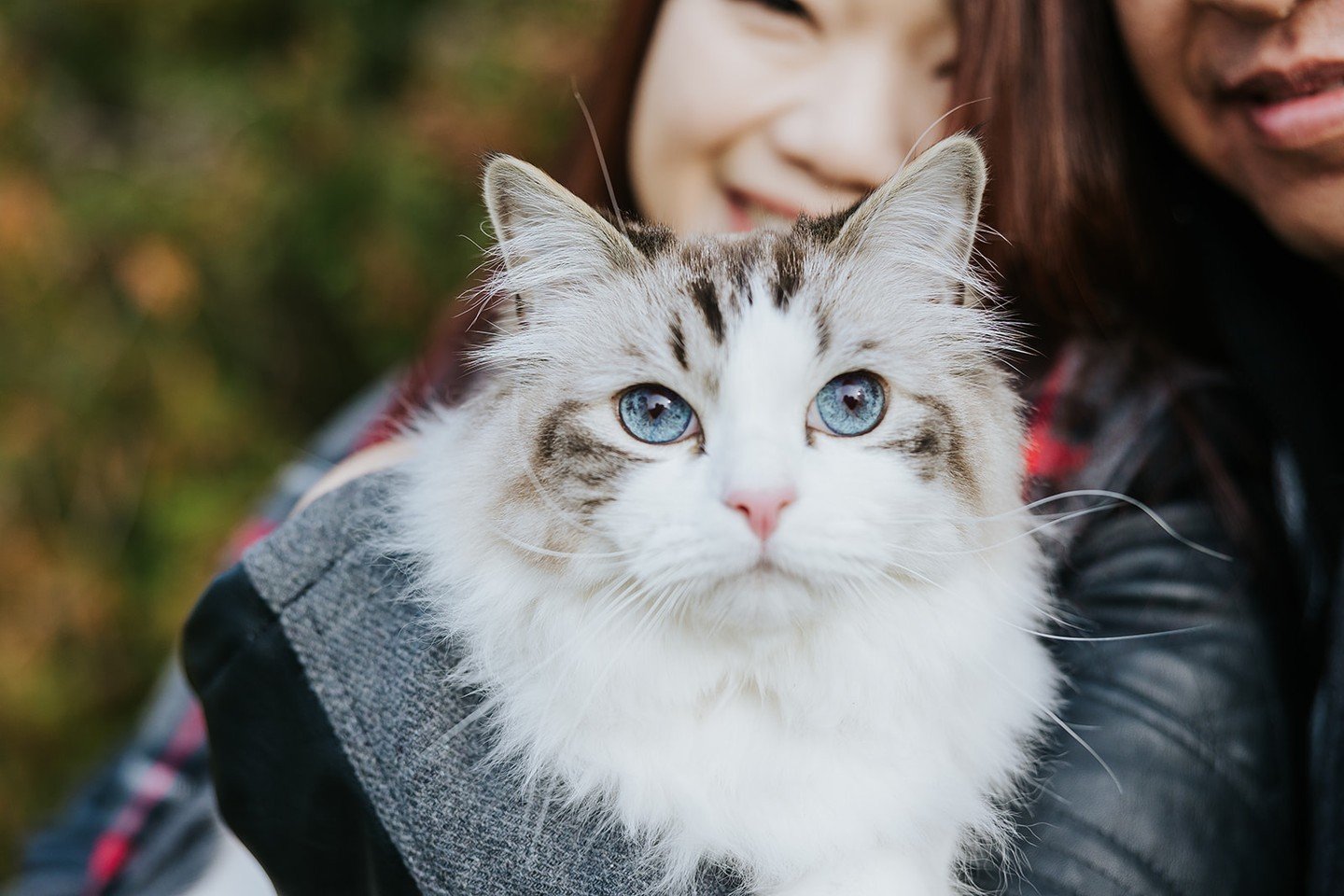 Say &quot;meow&quot; to including your cat in your engagement photoshoot! Let your feline friend add a playful twist to your special moments. Capture the joy of love and companionship with your beloved pet by your side. Because in the story of your l
