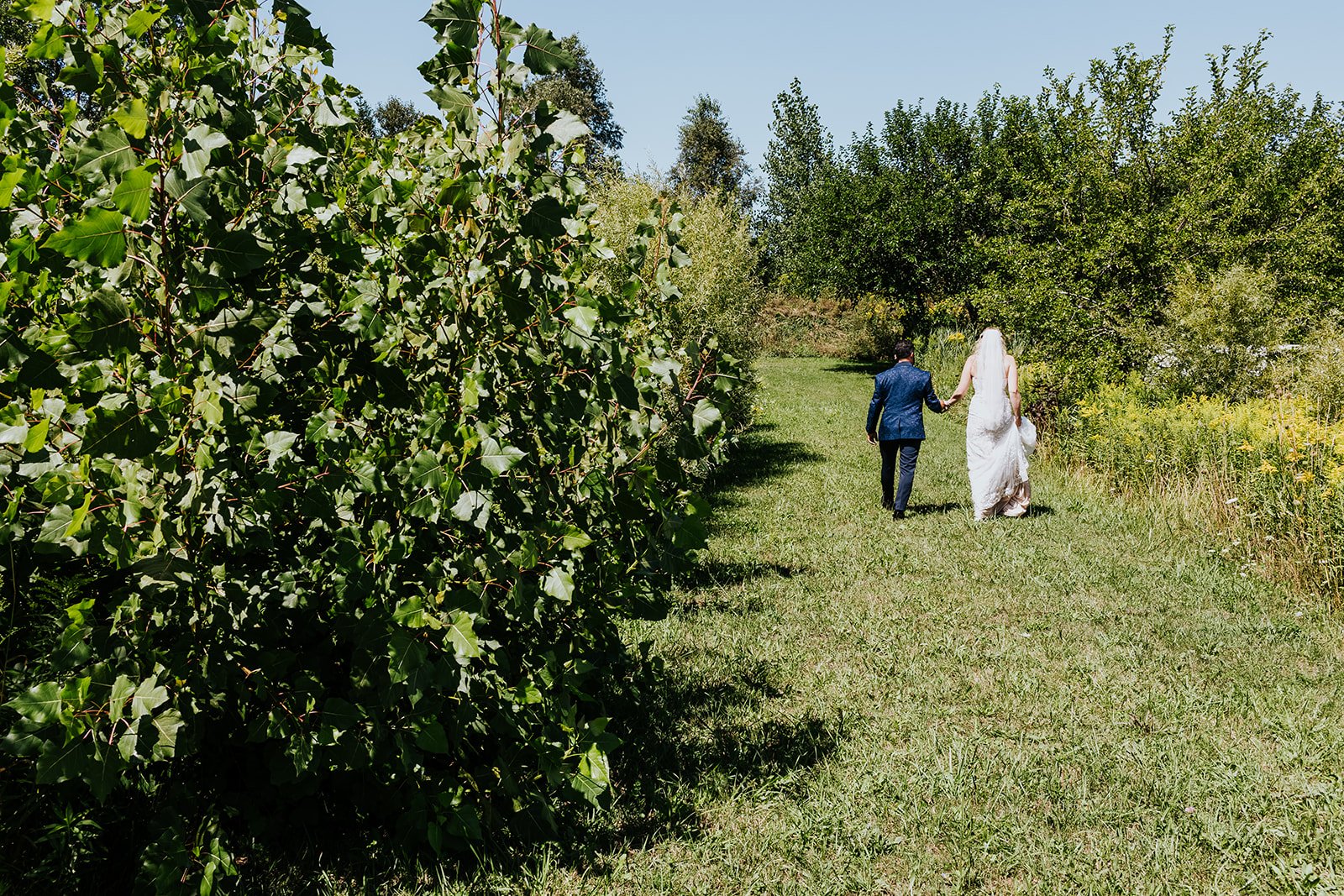 Bride and groom walking in the country at Burnside Farms in Erin photo by Fedora Media.jpg