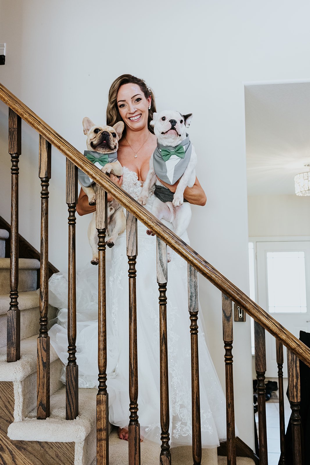 Bride in wedding dress with 2 Frenchie dogs in bowties photo by Fedora Media.jpg