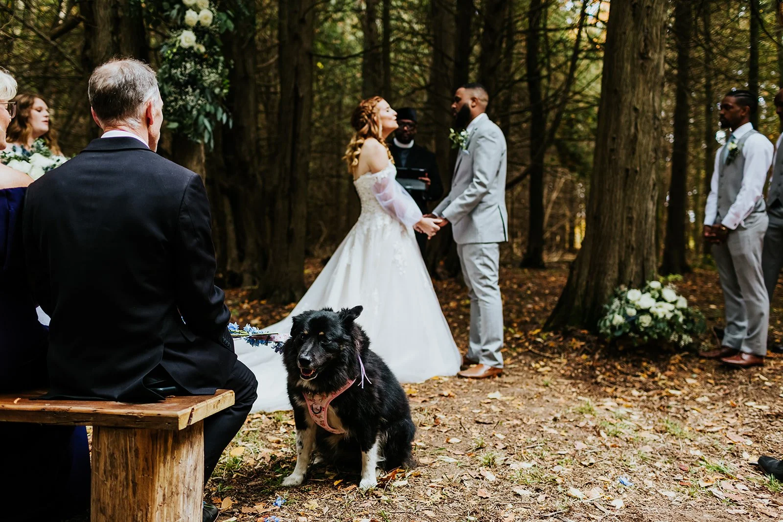 Dog at forest wedding photos by fedora media.jpg