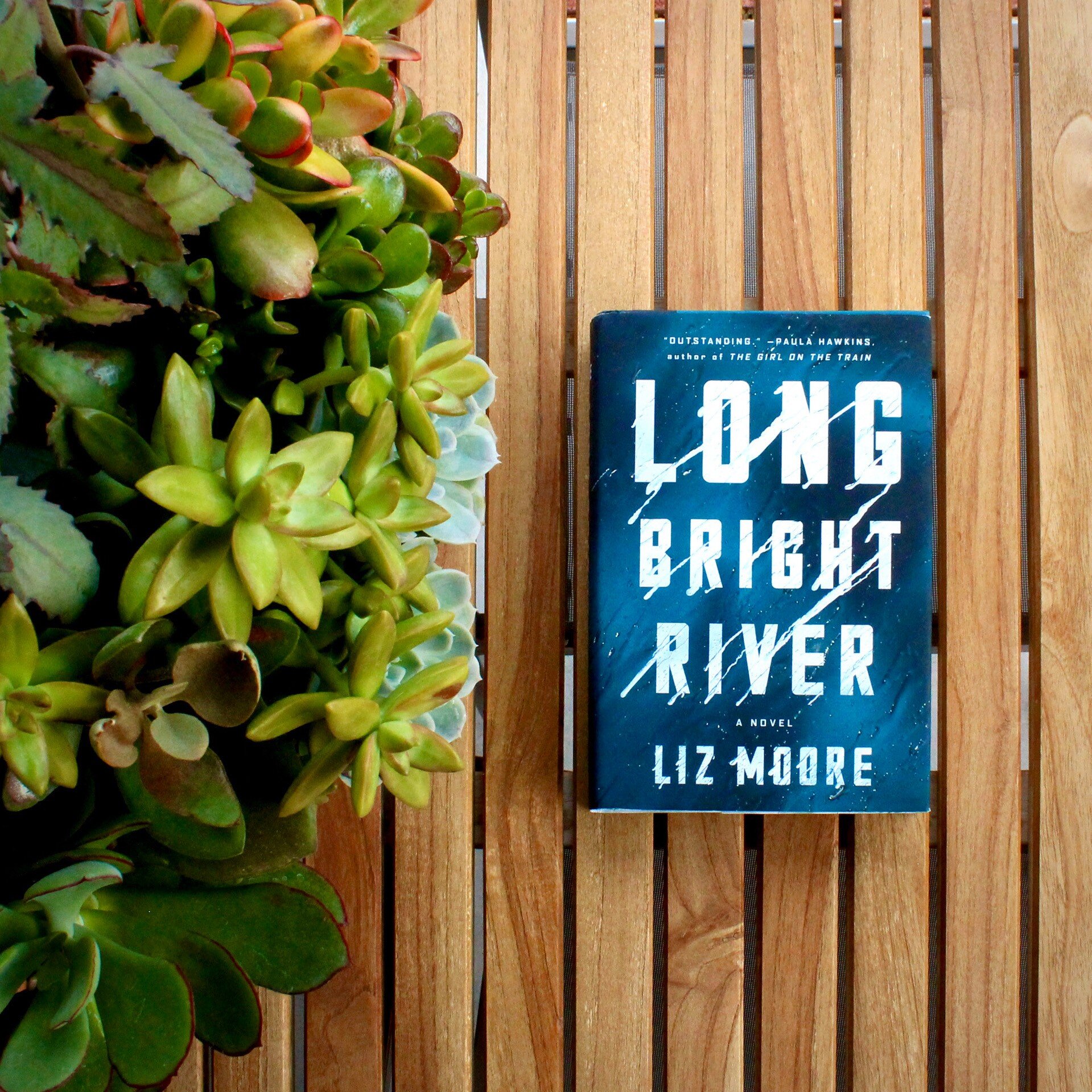 Get Long bright river book Free