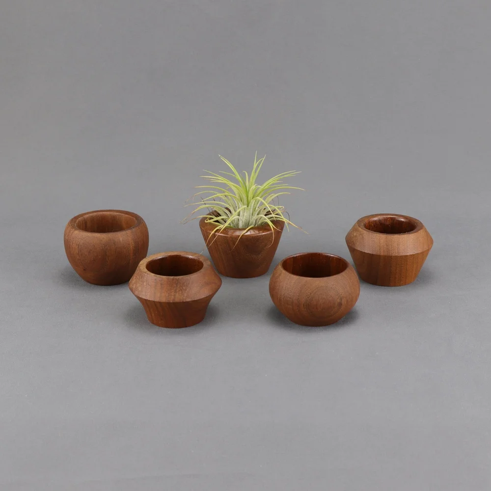 Artisanal Walnut Air Plant Holders (Set of 5)  Cordrick Creations