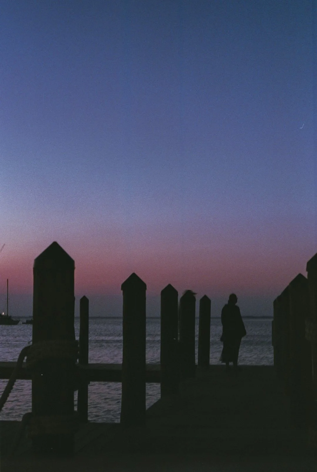 Douglas_Lopez_2.jpg