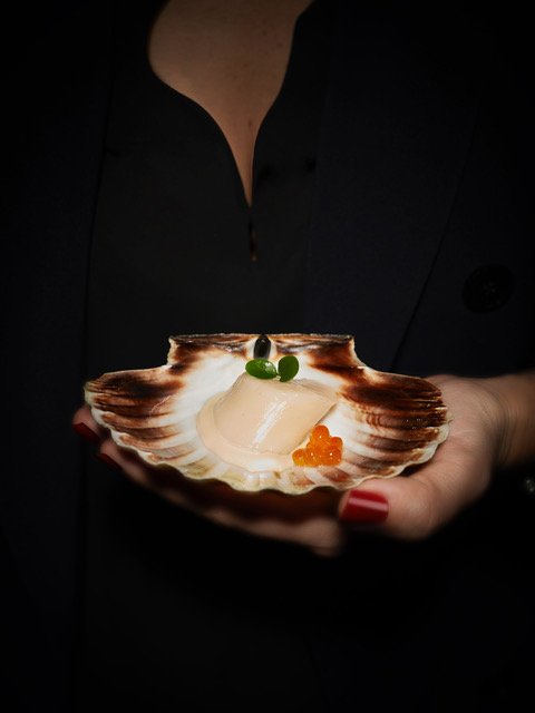 Scallop.jpeg