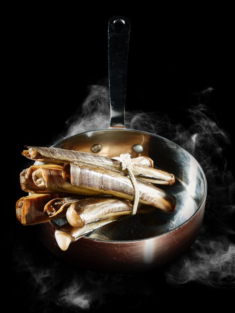 Razor Clams.jpeg