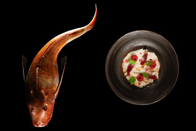 Gurnad & Ceviche.jpeg
