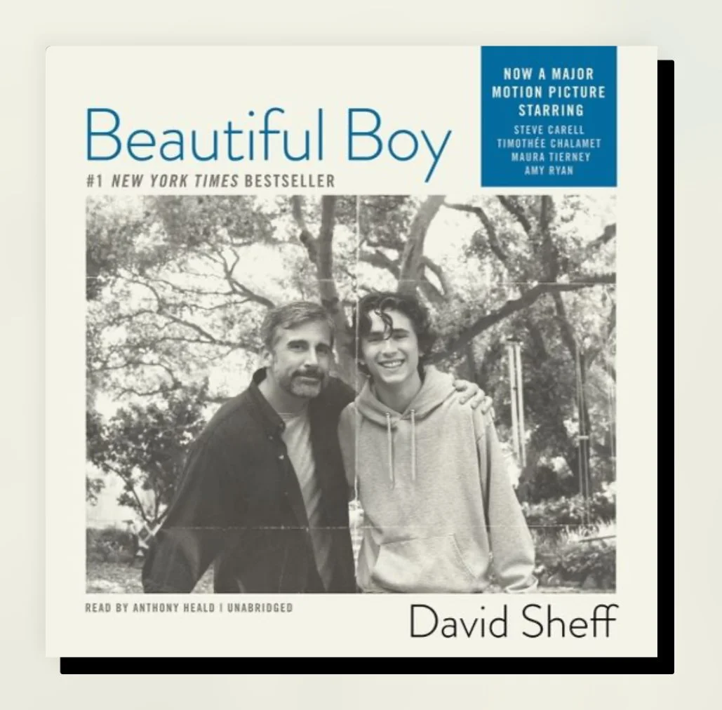 Beautiful Boy (2008) David Sheff