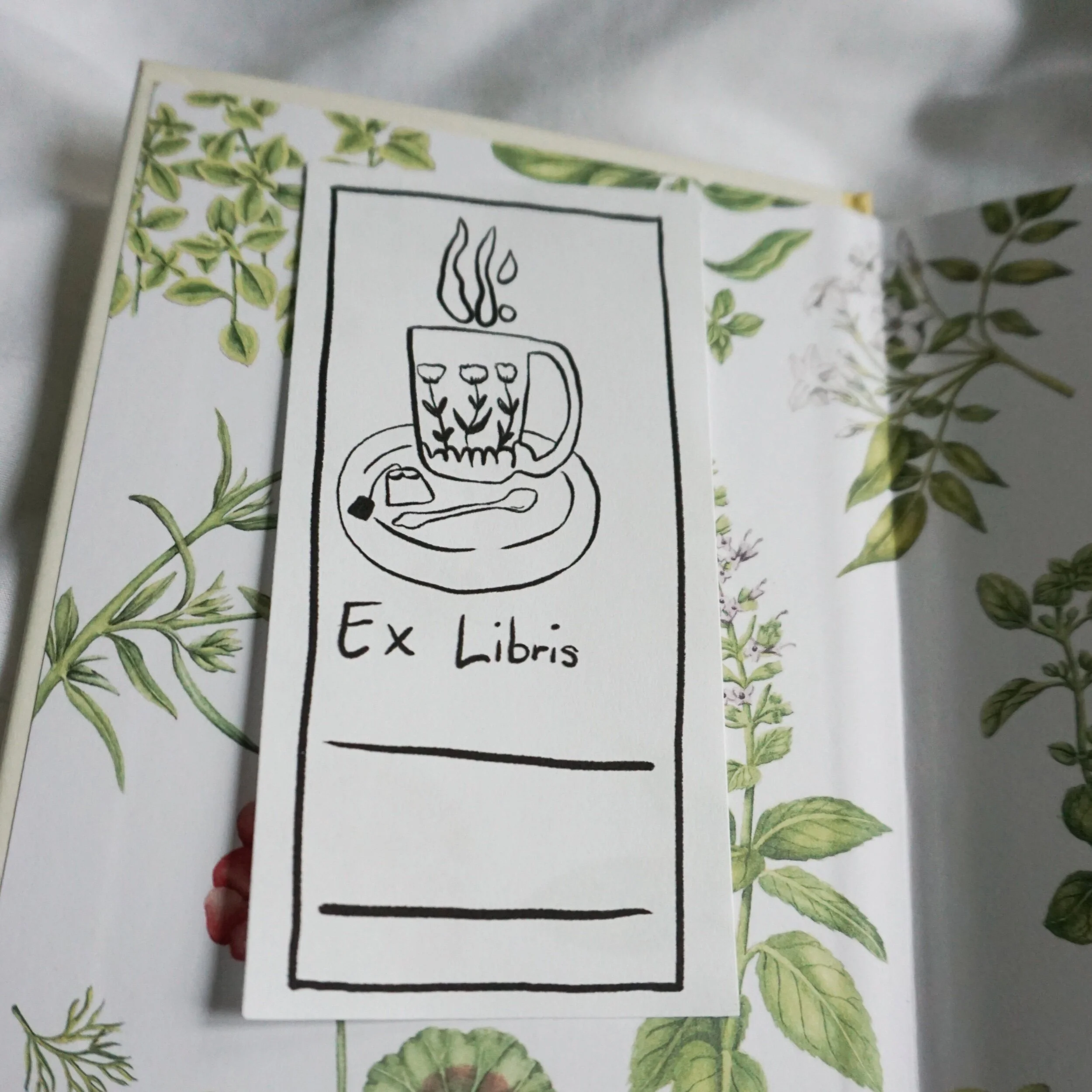 23E5E8FF-276E-4526-96B0-CBD370C66788