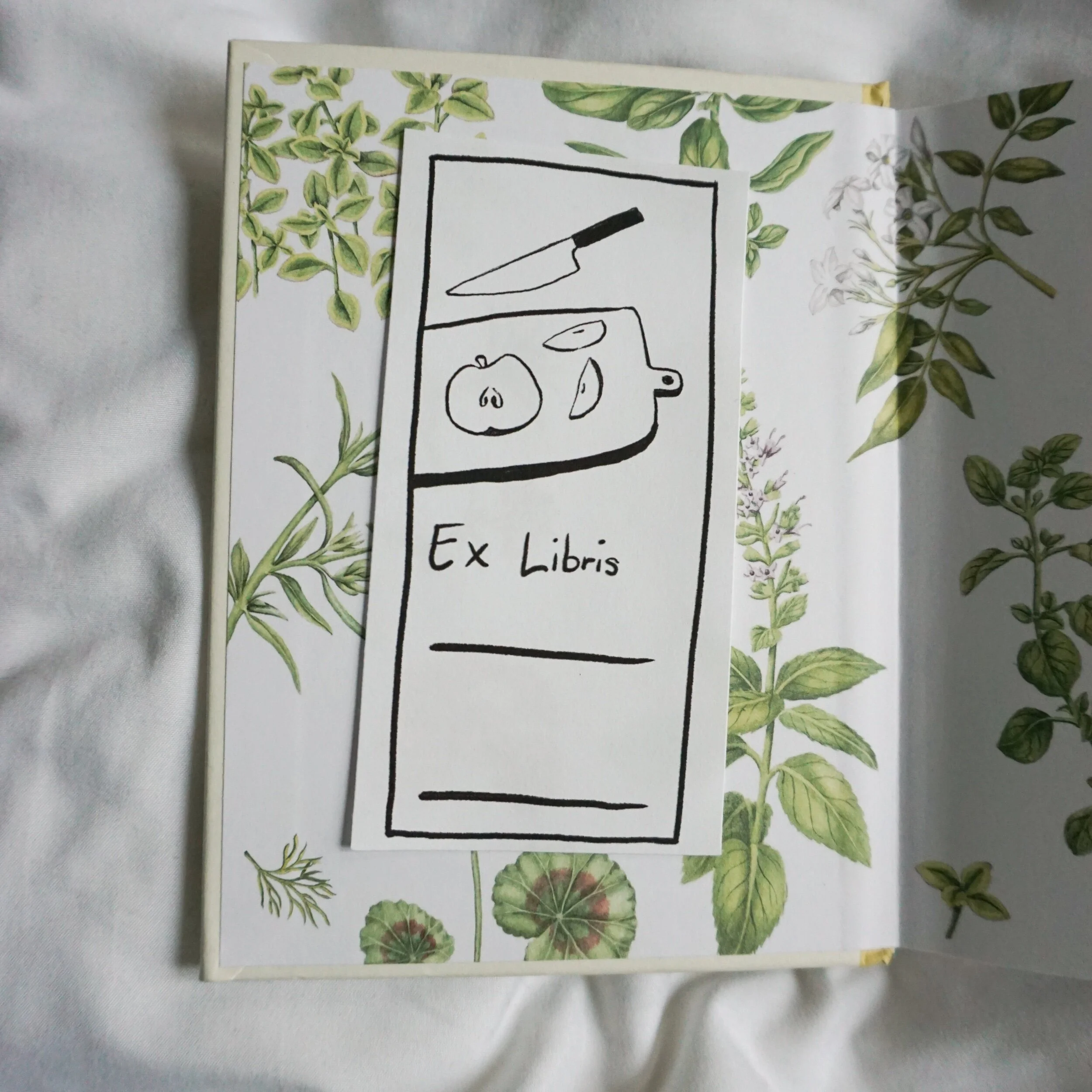 56ABD71C-8A6C-4947-8E96-4D65152A860A