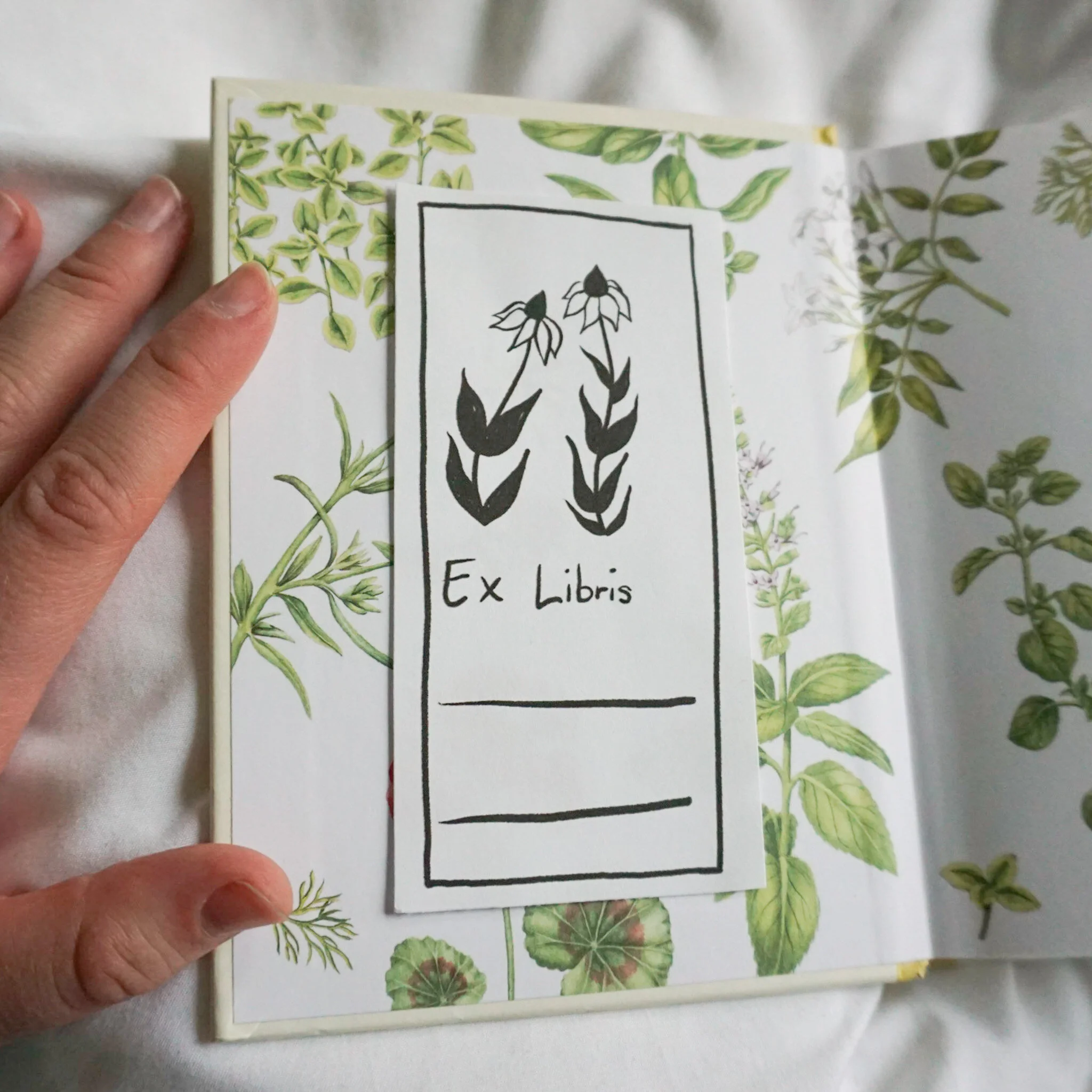 8FA45552-B985-49BD-A95B-084BAA19ABB3