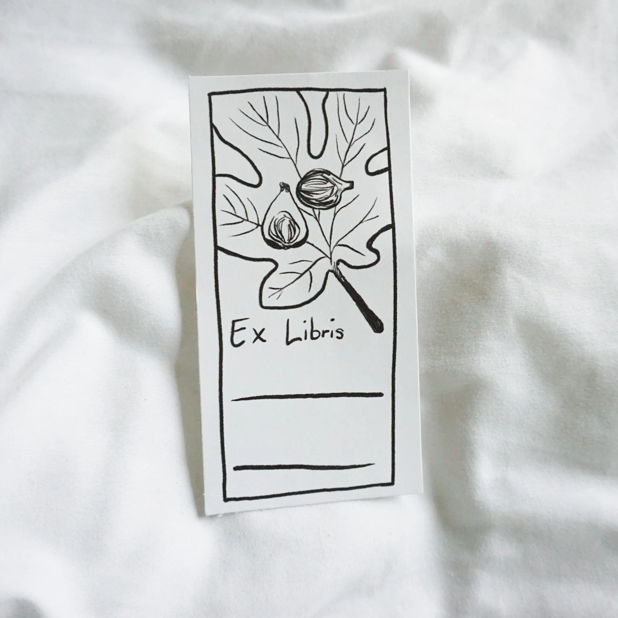 4D52BC1A-036B-4FE1-8CFD-A5C62AA7369D