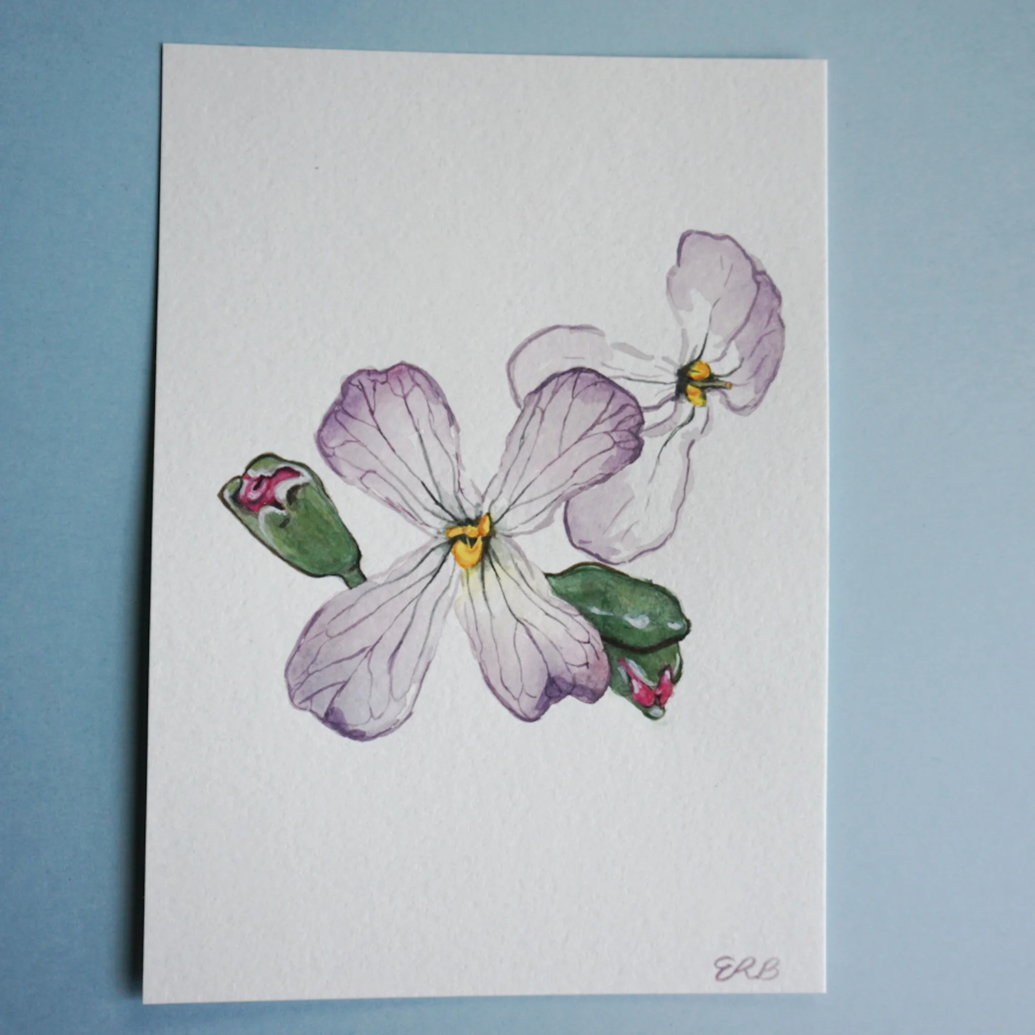 BBD35872-4041-4006-8040-534FBD9F7B5A