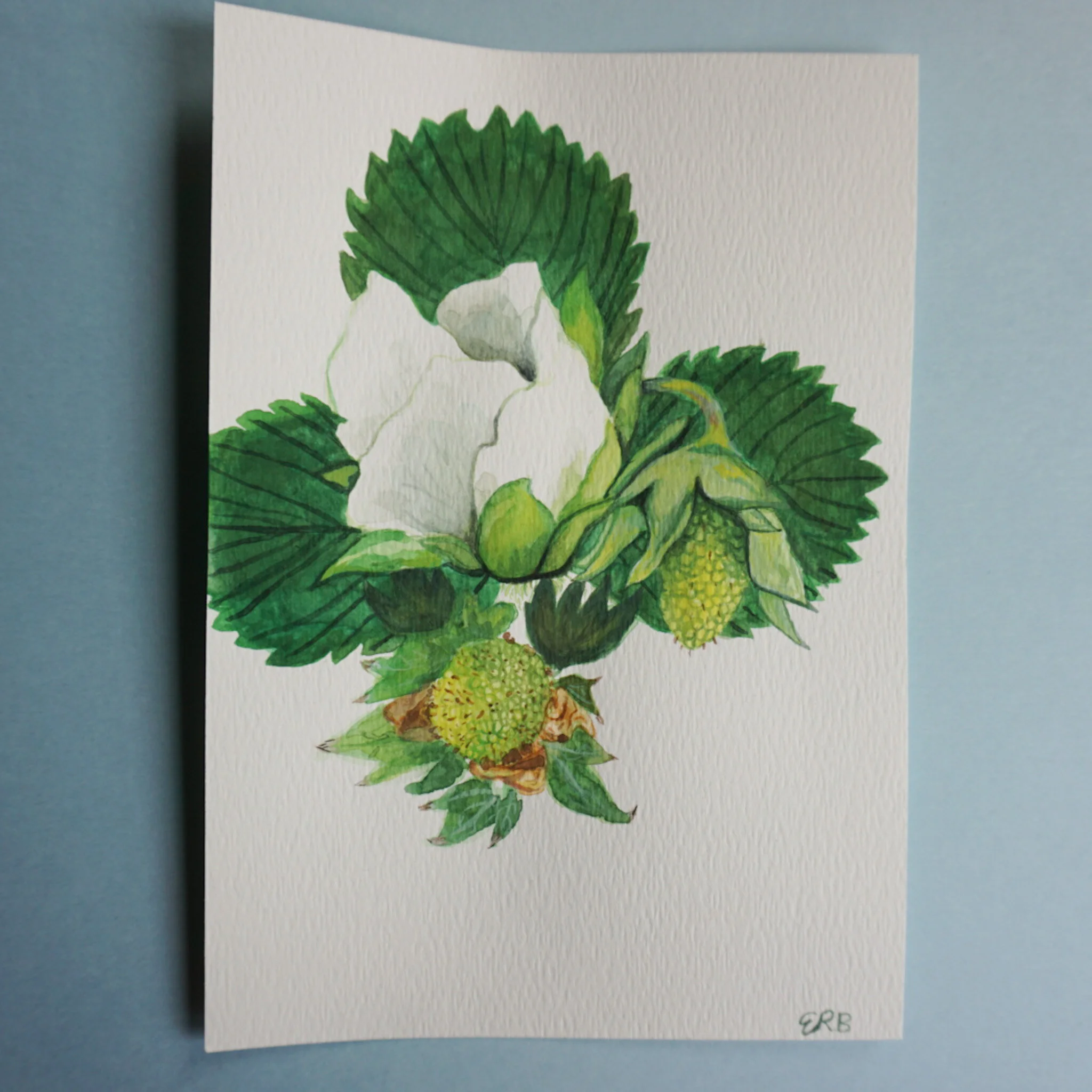 31101E16-06DC-4DC7-BC2F-46CD4E0FBCB8