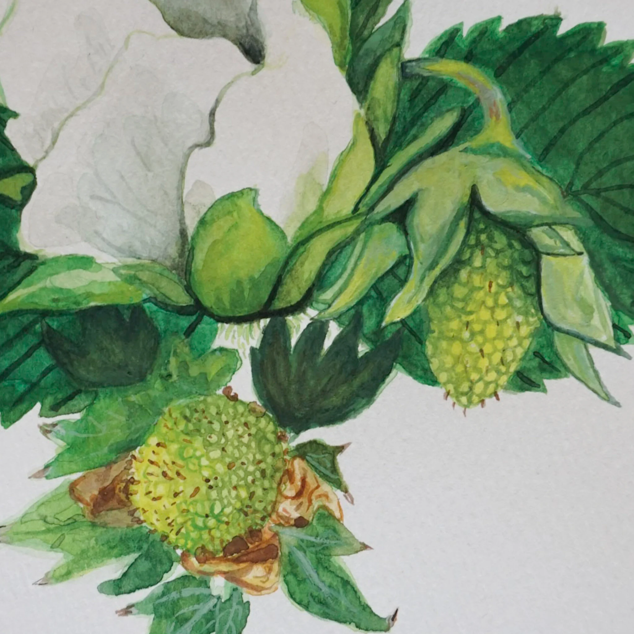 F94572CA-0213-45B5-9045-9B117B248BAF