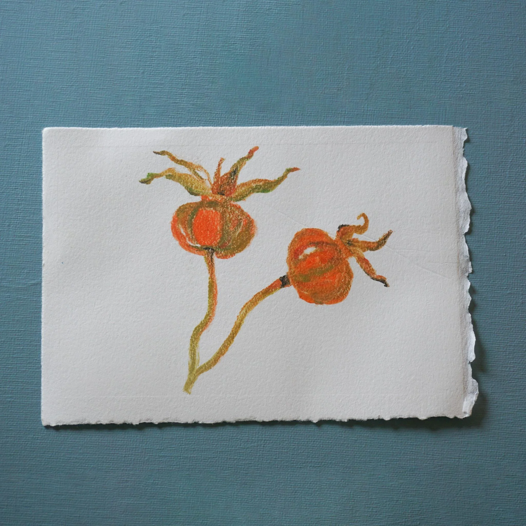 Twin Rose Hips - Monotype Painting