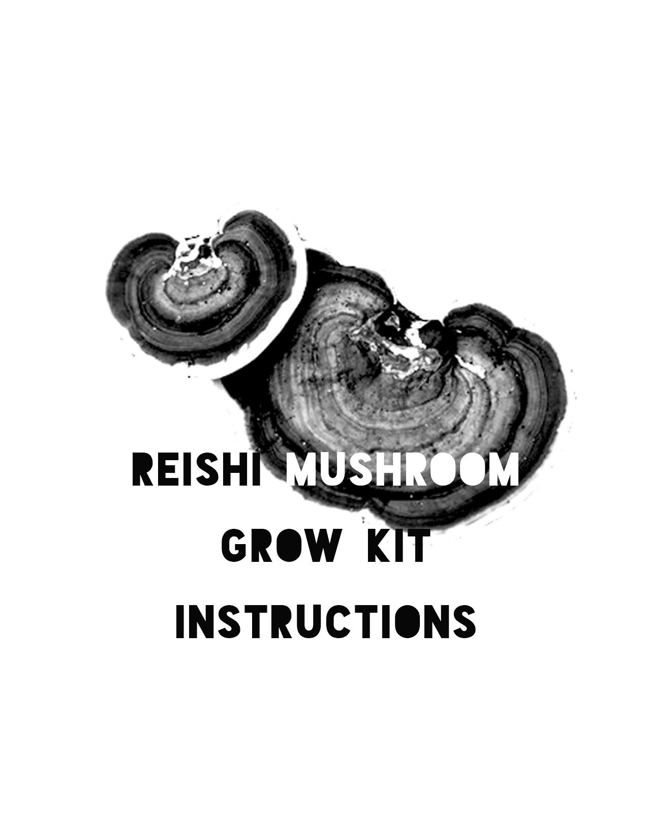 Grow your own Reishi Kit