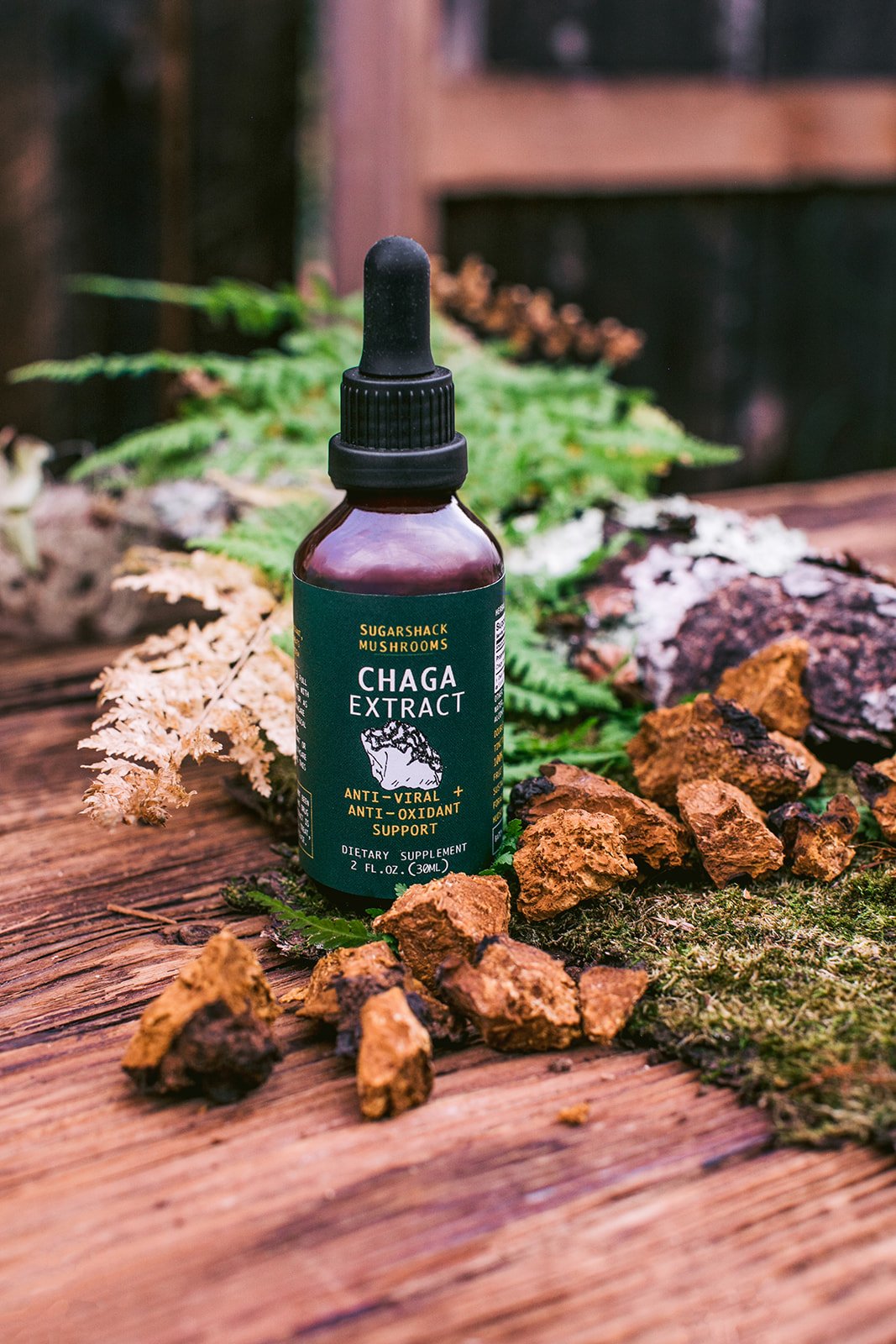 chaga_dried_standing.jpg