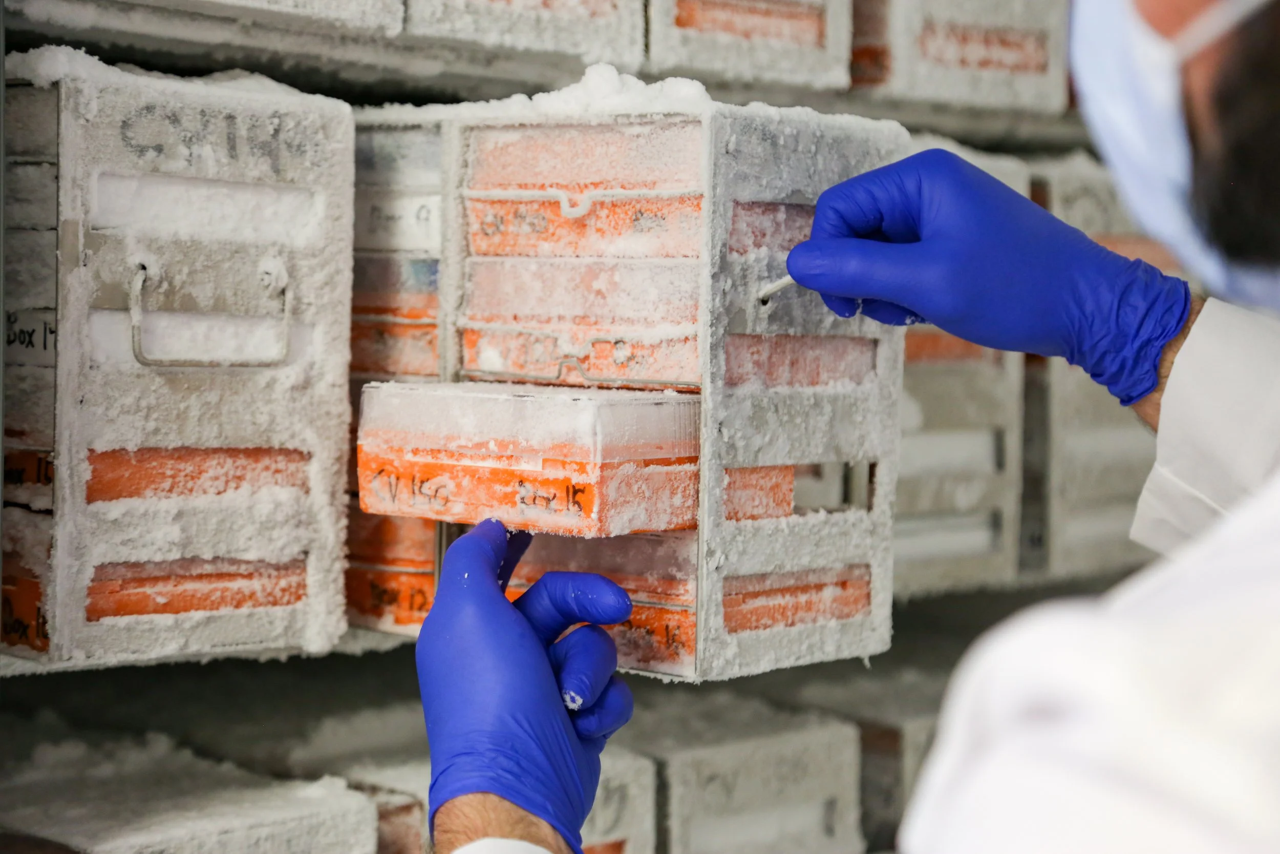 Person wearing blue gloves and a white lab coat handling bricks with white foam or insulation around the edges in an industrial or construction setting.