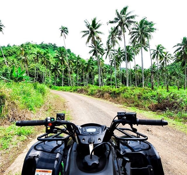 Here at Salt Diver we now offer quad bike and dirt bike rentals! Perfect for exploring Taveuni island in style! ⠀⠀
Who would you take with you on this island adventure?? .
.
.
#fijiislands #travel #divefiji #tropical #paradise #adventure #fiji
#islan