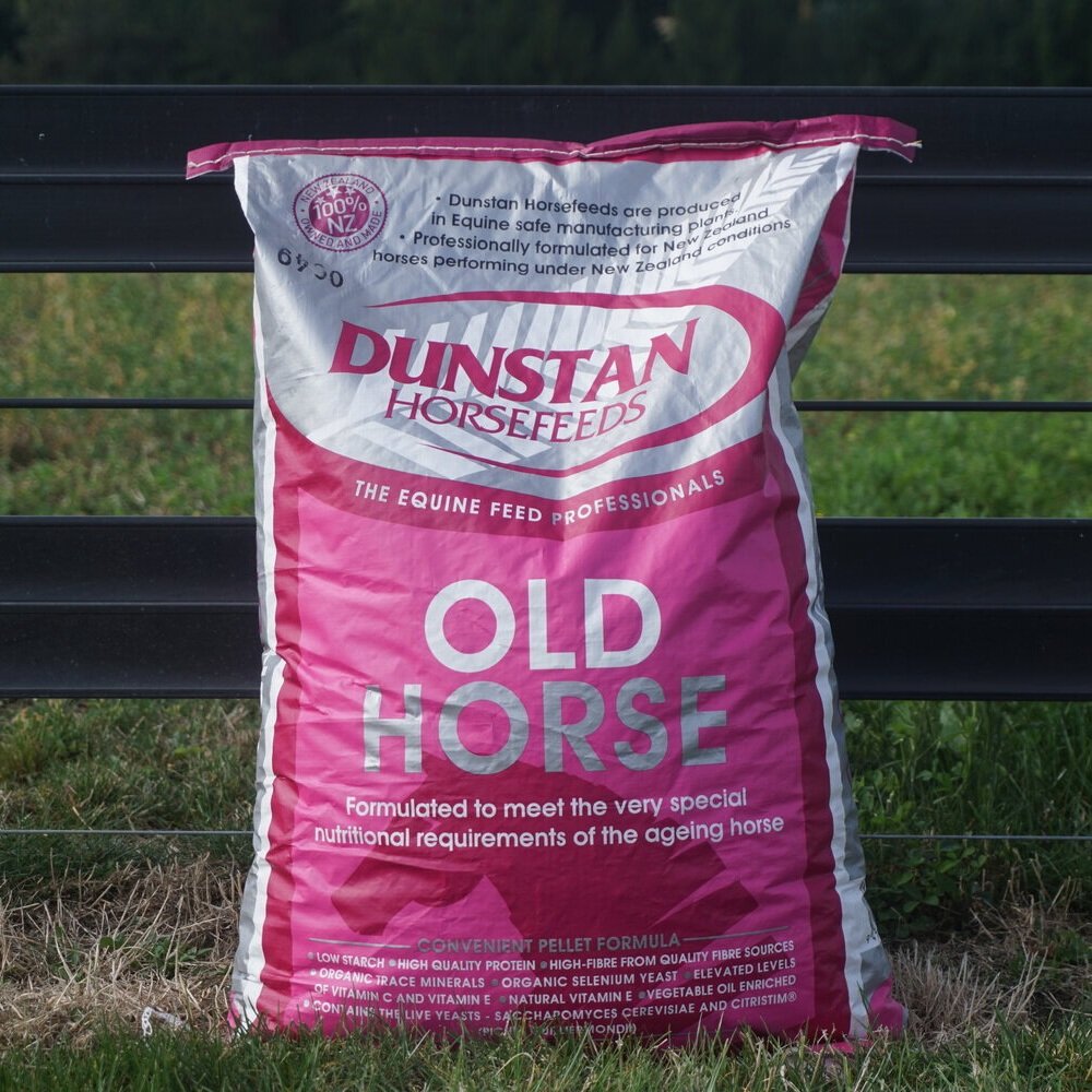 Dunstan Old Horse
