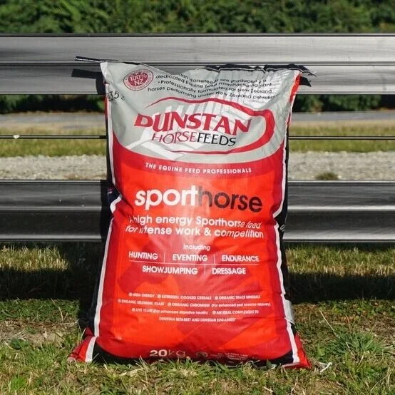 Dunstan Sport Horse