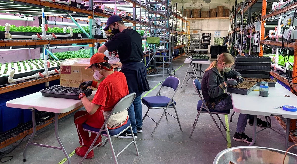 Greens Do Good participants fill starter pots for seeds