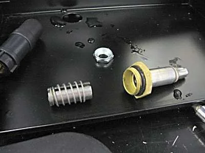 The slug and spring come out for cleaning. They will only fit back in one way, making reassembly easy.