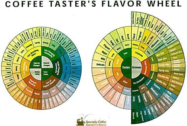 Image Credit:  SCAA