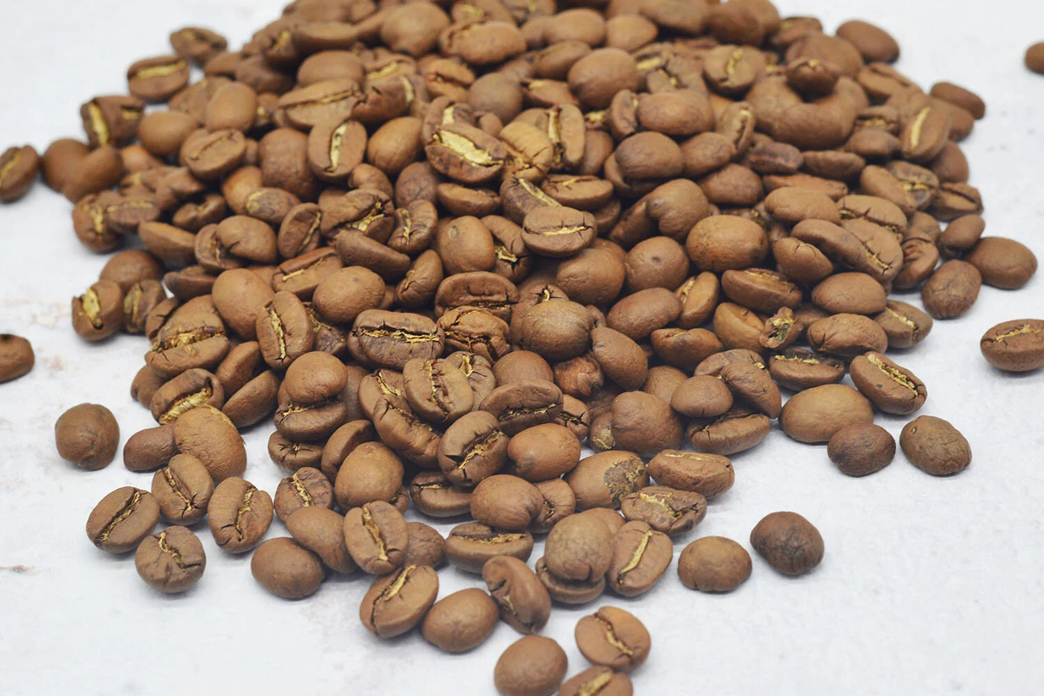 Nicuragua Candida_DSC_8467_c.jpg