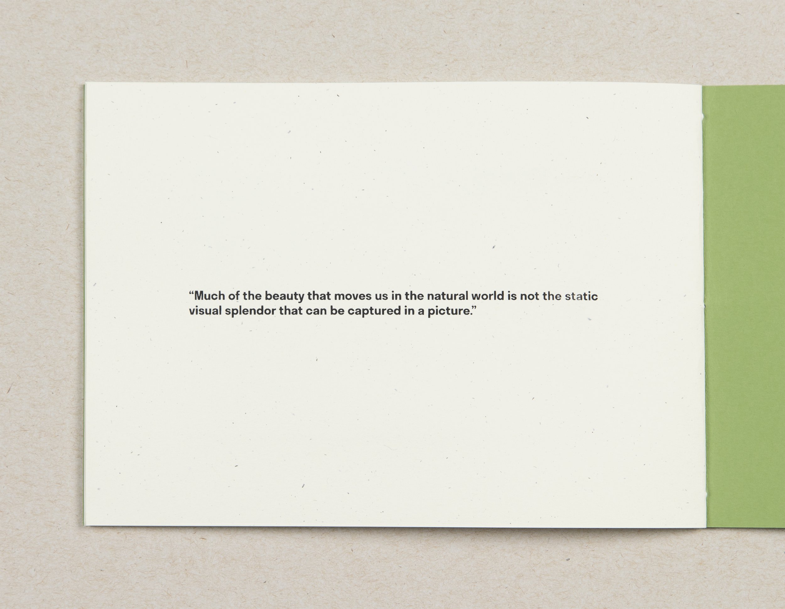 Wayfinder - SolnitQuote_3000.jpg