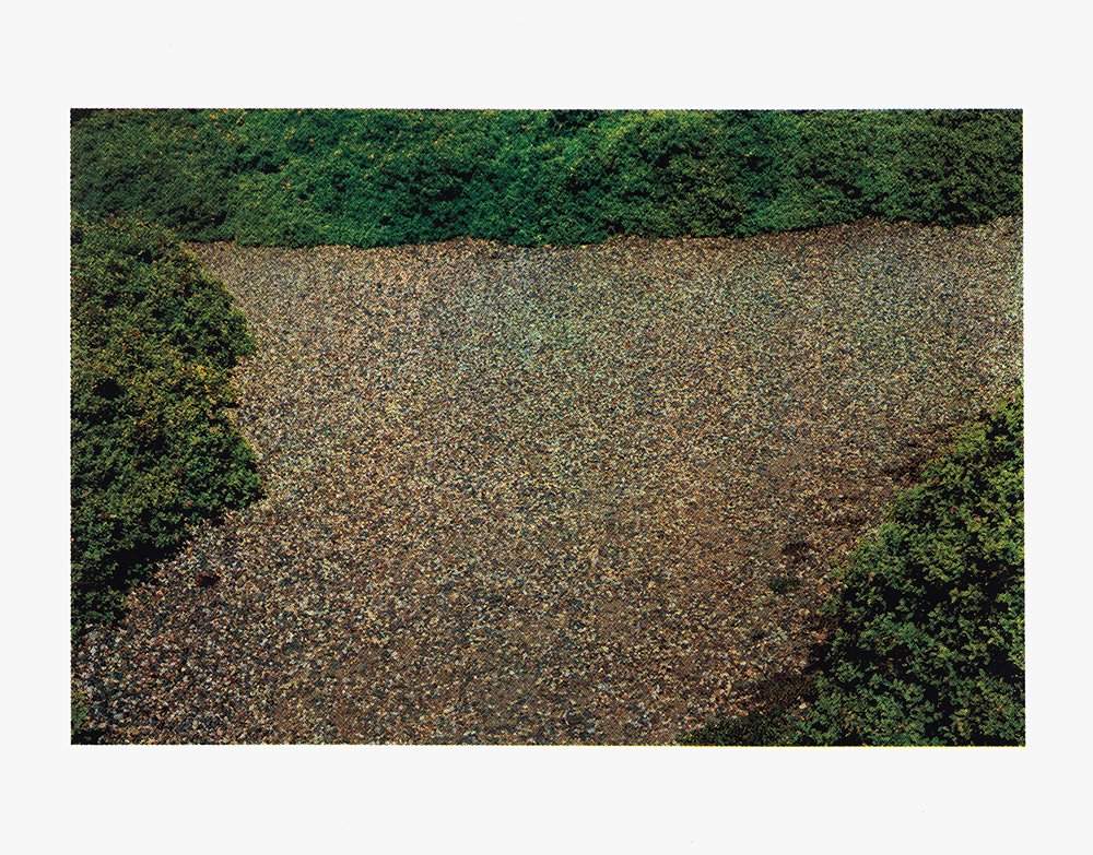 Path_1000.jpg