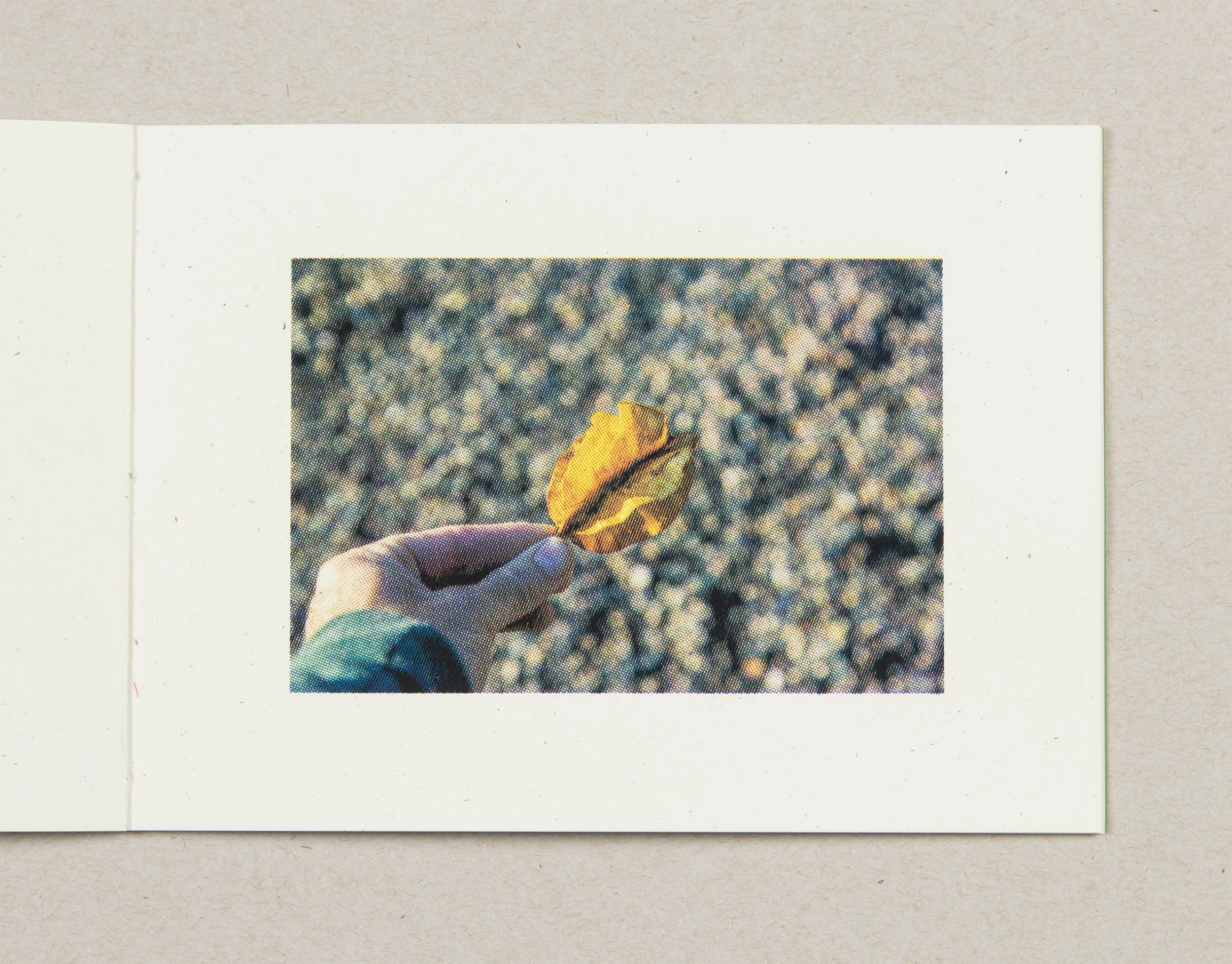 Wayfinder - FruitHand_3000.jpg
