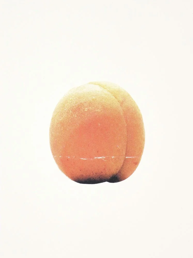 apricot_edit1000.jpg