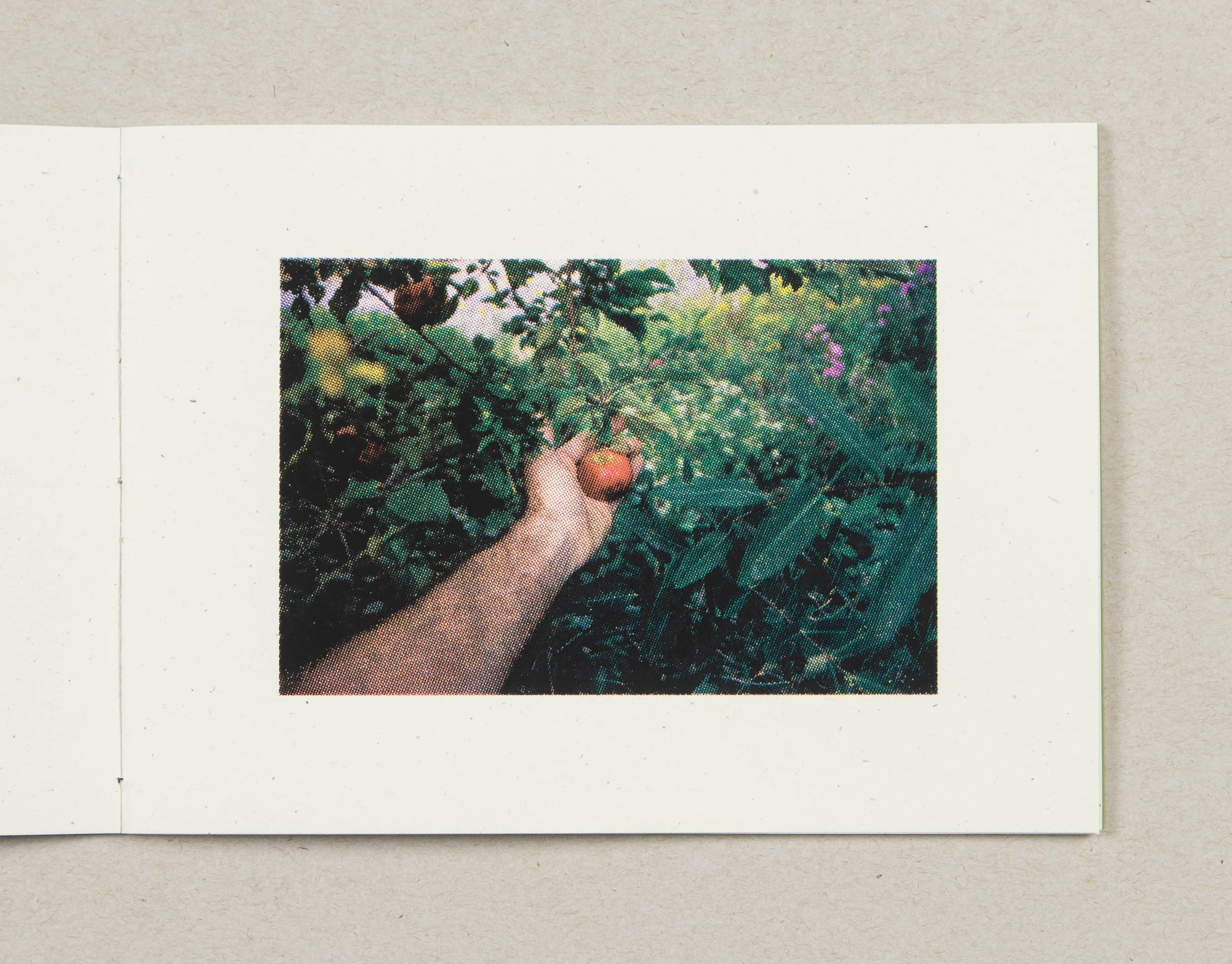 Wayfinder - AppleGrasp_3000.jpg