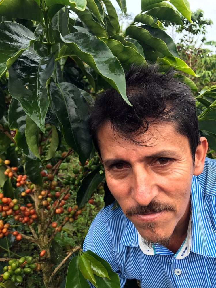 Luis Anibal.jpg