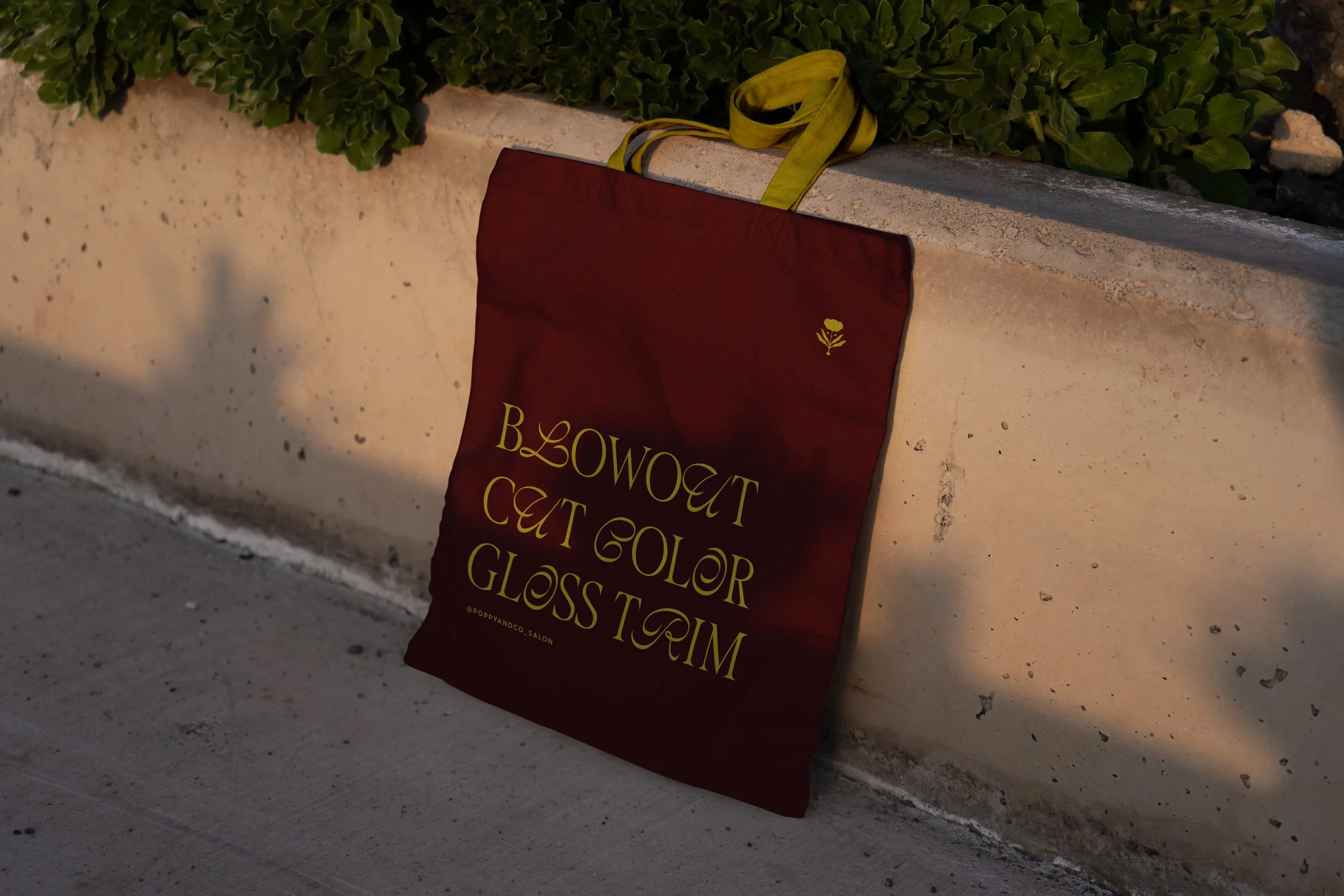 A red bag with yellow handles leaning against a beige concrete wall with green plants on top. The bag has yellow text that reads 'DEEP COLOR GLOSS TRIM' and a small yellow logo of a flower near the top right corner.