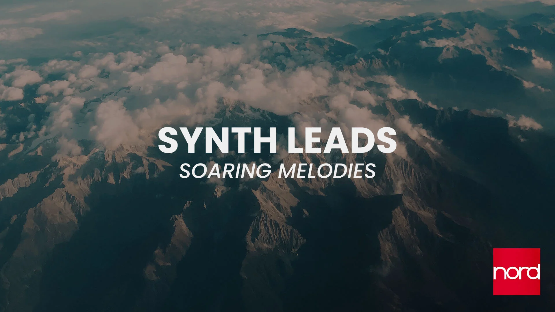 Synth Leads.jpg