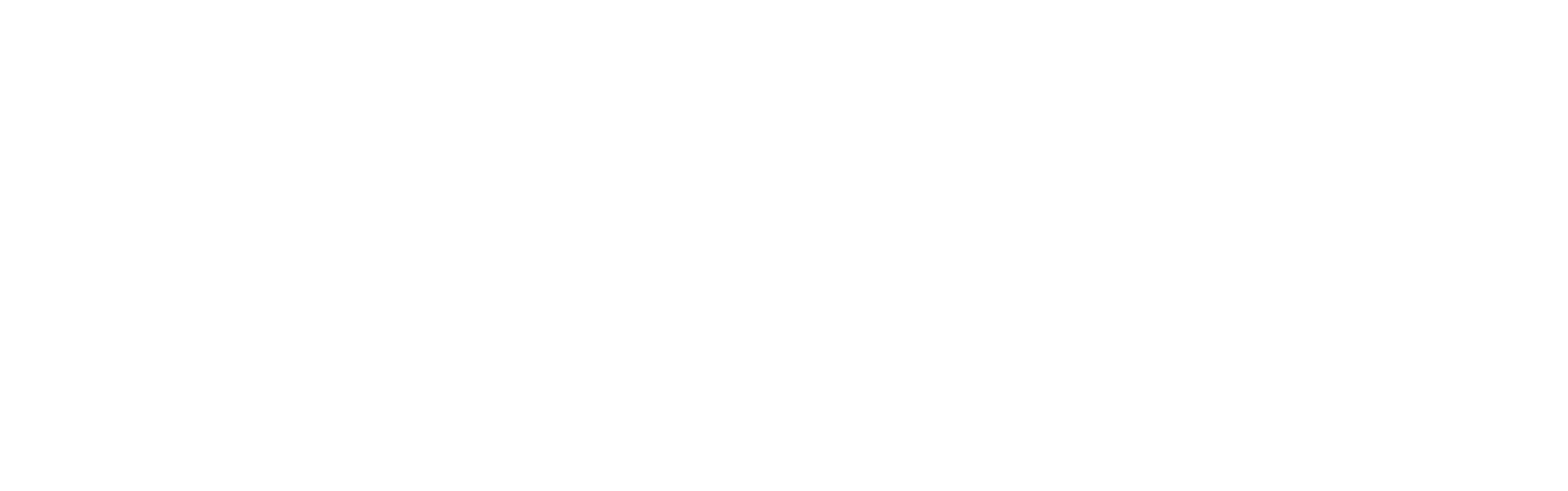 Moonlight Ale | Irish Folk in Charleston, SC