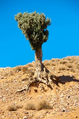 Impossible Is Nothing: Read This When You Feel Like Giving Up