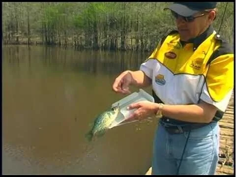 Crappie Gauge