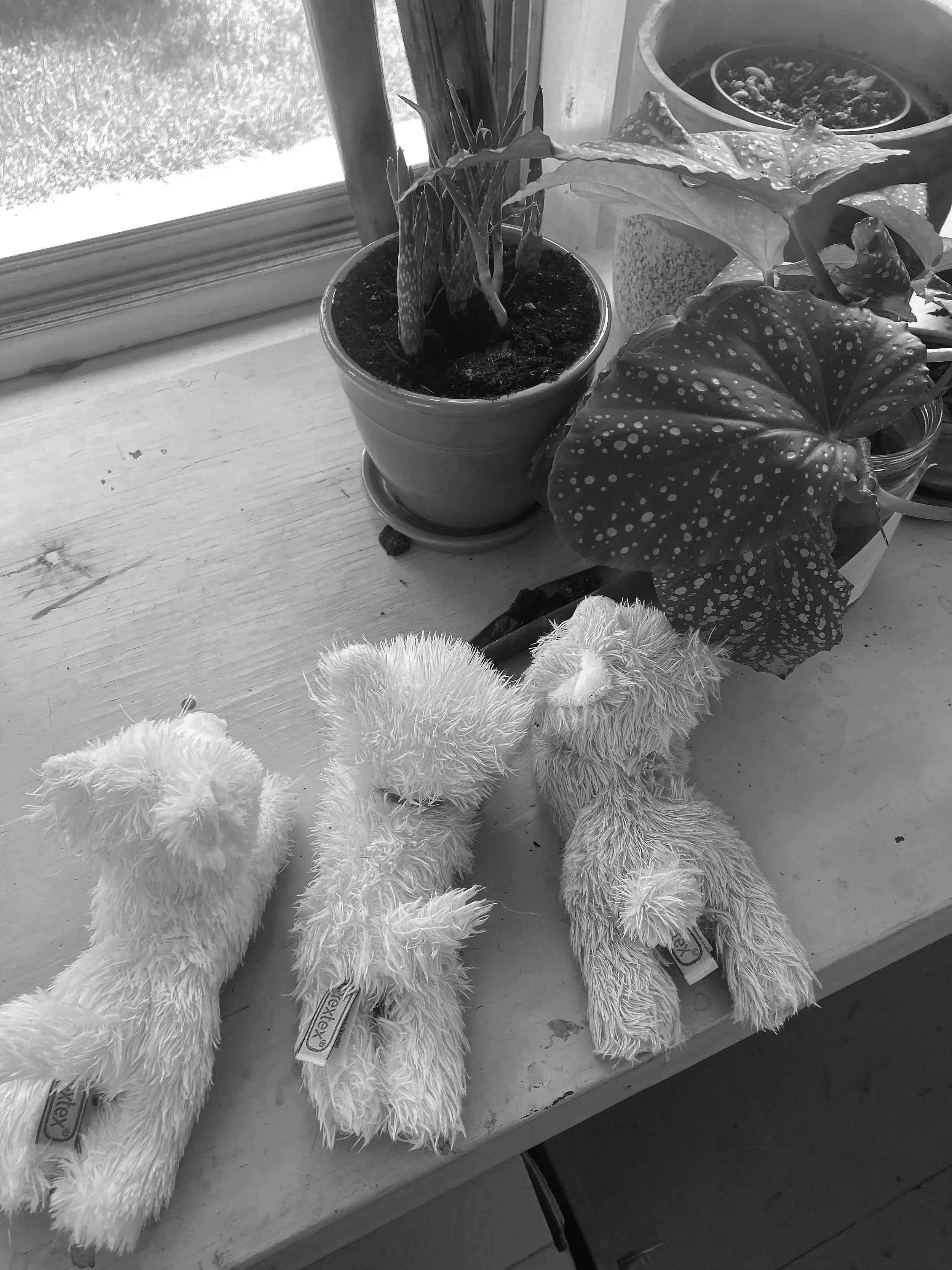 Our Babies, Ourselves: a Six-Week Group for Parents and Babies