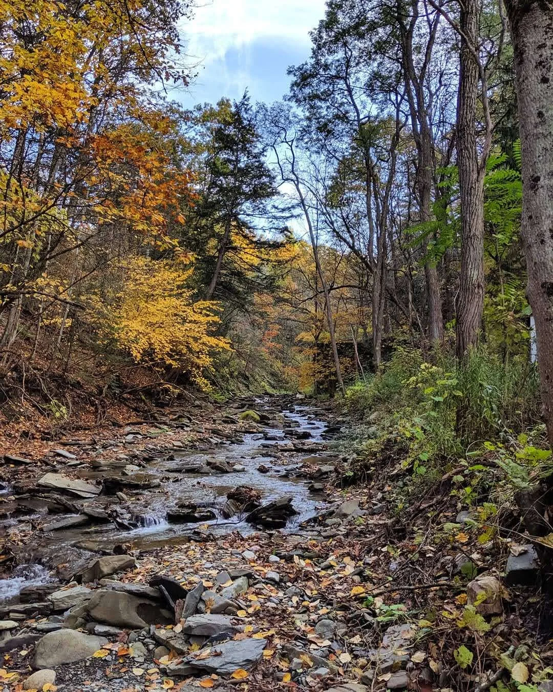 IMG_20191019_190430_751.jpg